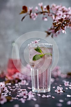 Spring cocktail. Glass of pink rose champagne with ice and mint