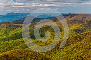 Spring colors in the Appalachian Mountains in Shenandoah National Park, Virginia.