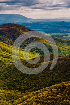 Spring colors in the Appalachians, in Shenandoah National Park, Virginia.