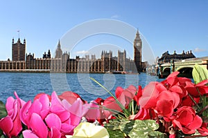 Spring colors of London. Flowers, sky, Parliament