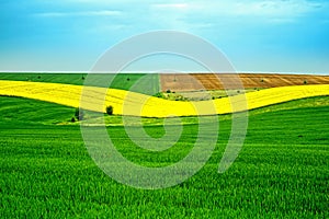 Spring colors with field