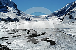 Spring columbia icefield photo