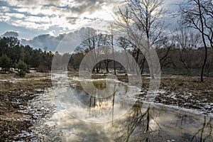 Primavera sta arrivando sul un fiume Banca. fine alberi più vicino un fiume 