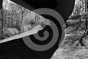 Spring is coming, flowering trees bask in the sun, and the bridge made a shadow.