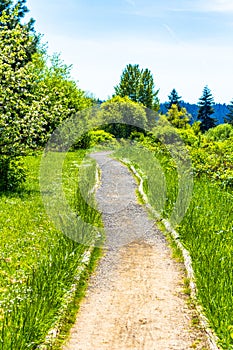 Spring is Coming Green Gravel Path