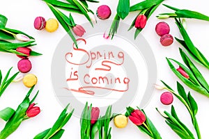 Spring is coming hand lettering surrounded by red tulips and sweets macarons on white background top view