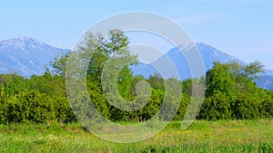 Spring coming mediterranean green meadow forest, snowy ice mountain