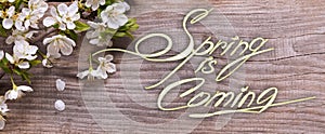 Spring is coming text, Flowers on background of old vintage wopod board. Springtime concept