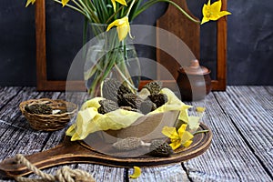 Spring composition. Morel mushrooms in a box and yellow wild tulips on a rustic background