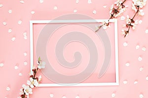 Spring composition. Pink flowers, photo frame on pink background. Flat lay, top view, copy space
