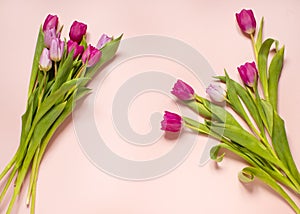 Spring composition, tulips 3