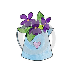 Spring composition of violet flowers, frog and bucket.
