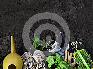 spring concept, gardening tools for gardening, boots and seedlings, watering can, seasonal garden work