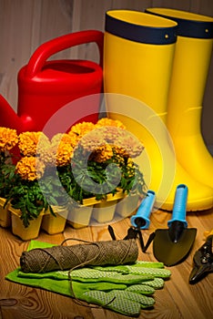 spring concept, gardening tools for gardening, rubber boots and seedlings, watering can