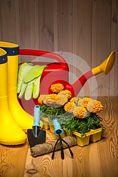Spring concept, gardening tools for gardening, rubber boots and seedlings, watering can, seasonal garden