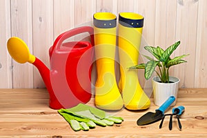 spring concept, gardening tools for gardening, rubber boots and seedlings, watering can, seasonal garden