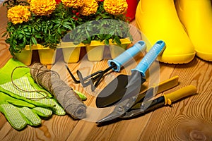 Spring concept, gardening tools for gardening, rubber boots and seedlings, watering can, seasonal garden