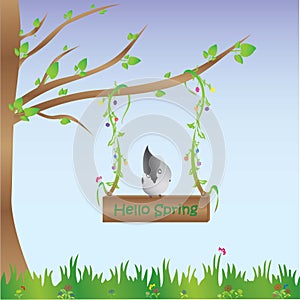 Spring concept - Phrase ` Hello Spring`. photo