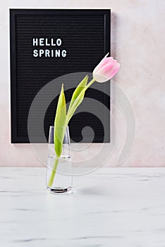 Spring concept. Pink tulip and letterboard with quote Hello Spring