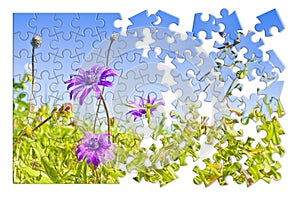 Spring concept in puzzle shape