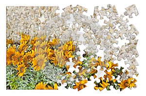 Spring concept in puzzle shape