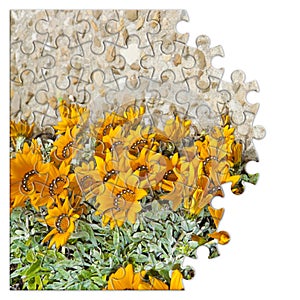 Spring concept in puzzle shape