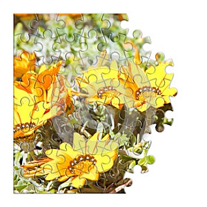 Spring concept in puzzle shape