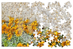 Spring concept in puzzle shape with flowers