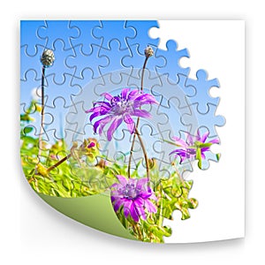 Spring concept in puzzle shape on white background