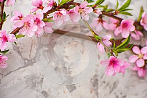 Spring conceptual photo with flowers. Flat lay blooming tree, easter eggs. The tree blooms pink and the eggs in the nest and copy