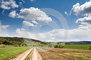Spring countryside with dirt road through green fields