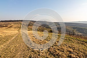 Spring countryside with grassy road under blue sky