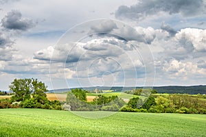 Spring countryside with green field and trees under cloudy sky