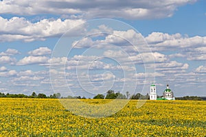 Spring field with yellow flowers and church, blue sky with clouds