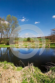 Spring countryside with river