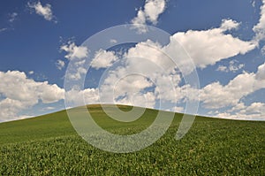 Spring Countryside scene in Colfax