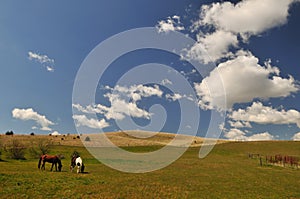 Spring Countryside scene in Colfax