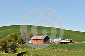 Spring Countryside scene in Colfax