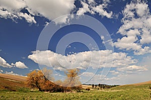 Spring Countryside scene in Colfax