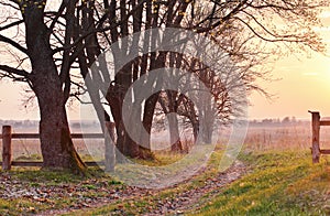 Spring countryside sunset. Old country road in the park