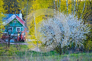 Spring countryside view