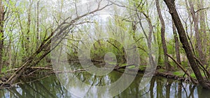 Spring creek in Toogood Pond Park