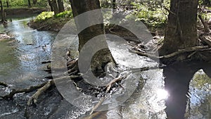 Spring creek water beauty clear nature mother earth