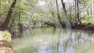 Spring creek water beauty clear nature mother earth