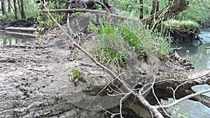 Spring creek water beauty nature tennessee