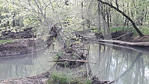 Spring creek water beauty nature tennessee