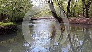 Spring creek water beauty nature tennessee