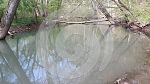 Spring creek water beauty nature tennessee