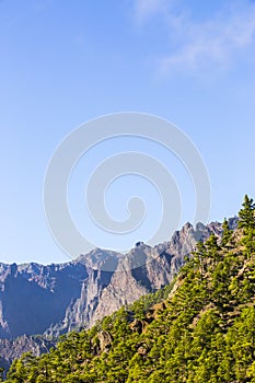 Spring in Cumbrecita, Caldera De Taburiente Nature Park, La Palma Island, Canary Islands, Spain