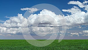 Spring Cumulus Clouds over Grassy Meadow